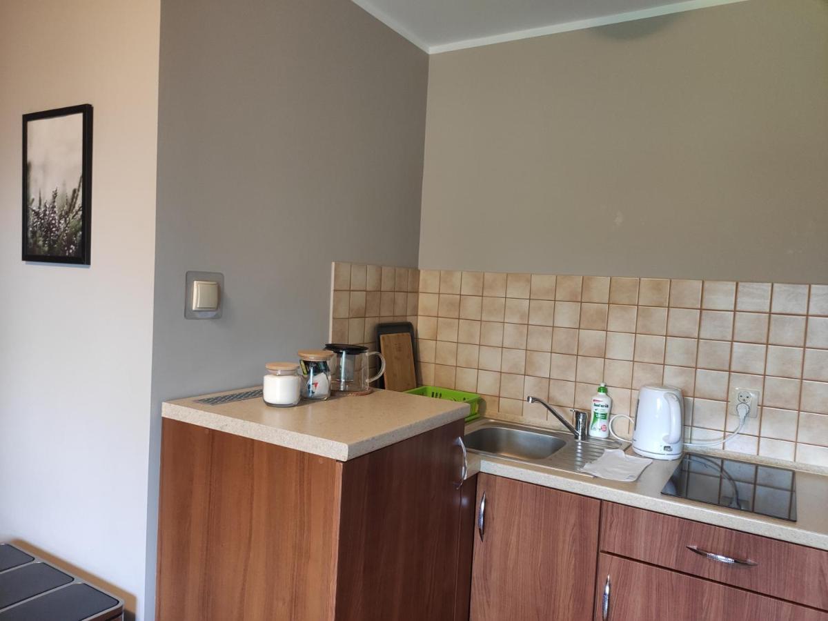 Apartamenty Madzia Weichsel Exterior foto